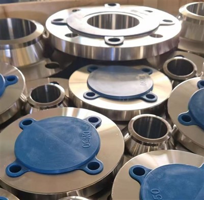 DN50 SS 316 Äärikud