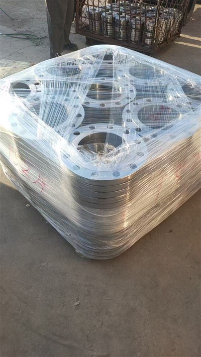 DN500 pesa keevisõmblus (SO RF) 316 roostevabast terasest äärik