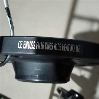 EN1092 PN16 DN65 A105 Äärik